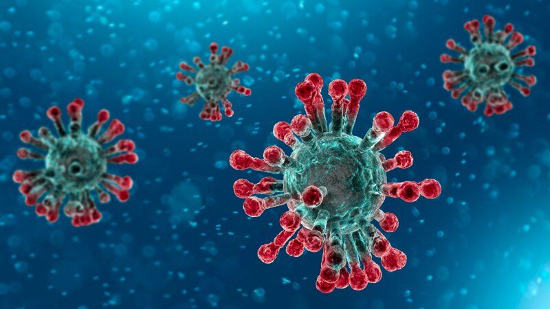 Photo of Cosa sono i virus e come si trasmettono