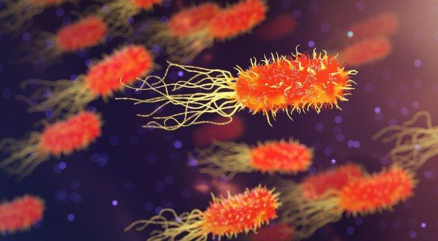 Photo of Infezioni batteriche, quali sono le più comuni?