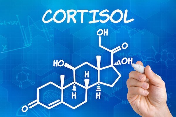 Photo of Cortisolo l’ormone dello stress