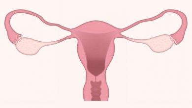 Photo of Anello vaginale: benefici, controindicazioni e come usarlo