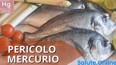 Photo of Pesce, quanto è pericoloso il mercurio che contiene? Attenzione agli acquisti