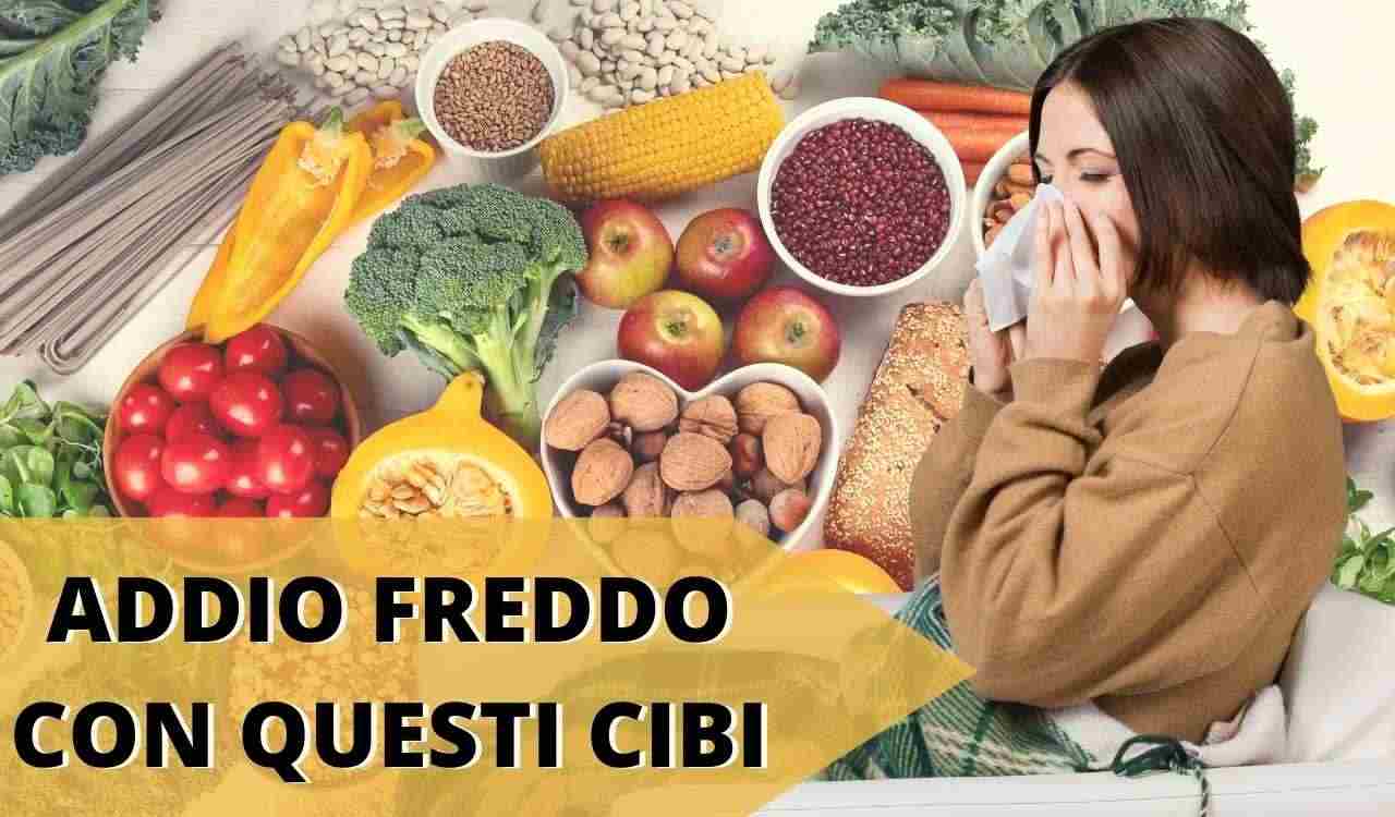 FREDDO NOTTE CIBI DA MANGIARE