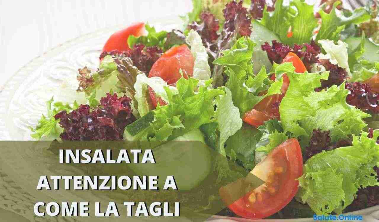 tagliare insalata