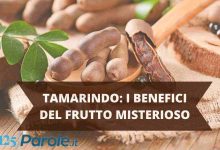Photo of Tamarindo, tutti i benefici di questo frutto “miracoloso”: tutte le incredibili proprietà
