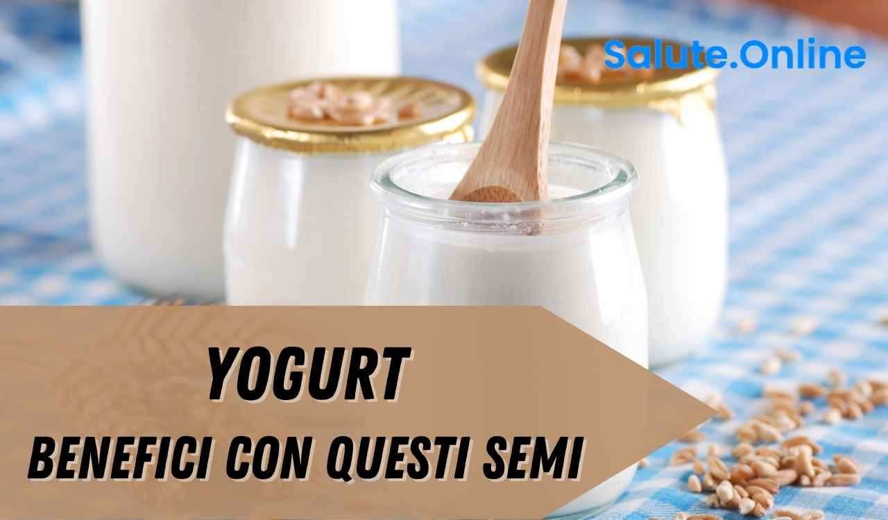 YOGURT SEMI ZUCCA