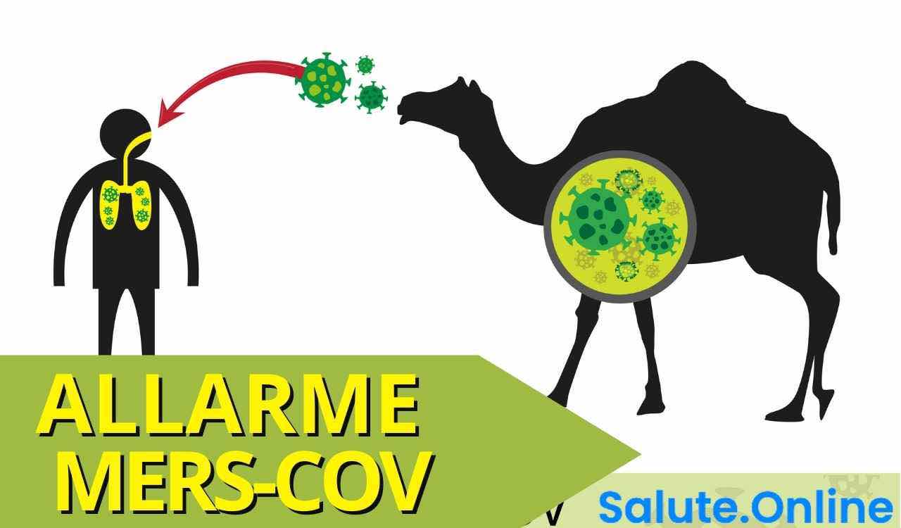 allarme mers-cov