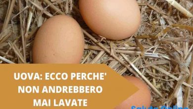 Photo of Ecco perché non bisognerebbe mai lavare le uova