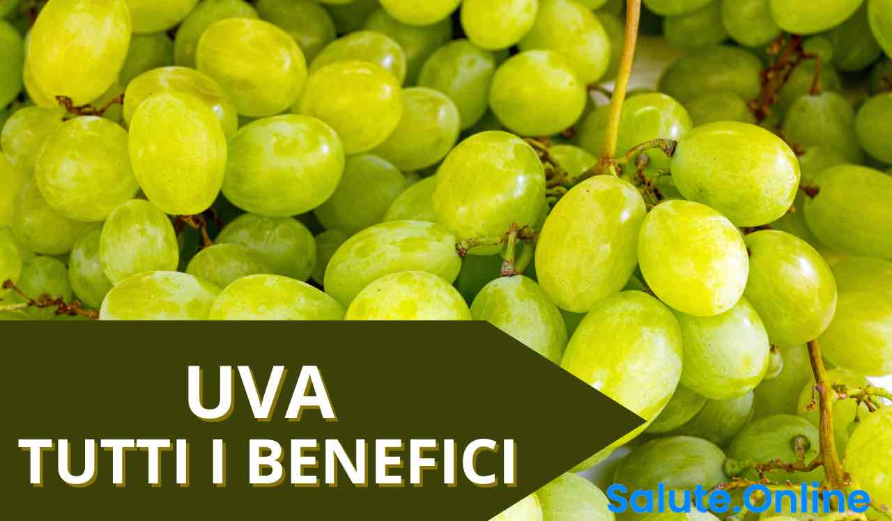 uva benefici