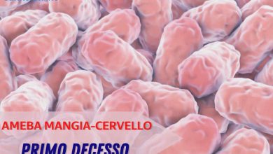 Photo of Ameba mangia-cervello, primo decesso nel mondo: i sintomi erano quelli della meningite