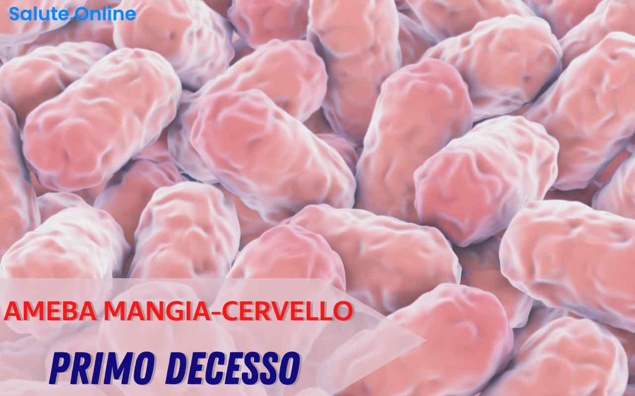 Ameba mangia-cervello