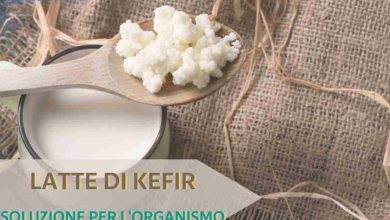 Photo of Latte di kefir, fonte importante di benessere: le sue proprietà